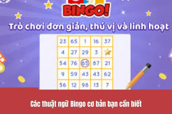thuật ngữ Bingo