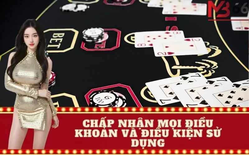 Chấp nhận mọi điều khoản và điều kiện sử dụng